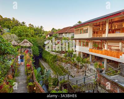 Maisons le long d'une ruelle étroite entourée de verdure tropicale luxuriante à Ubud, Bali, Indonésie. Banque D'Images