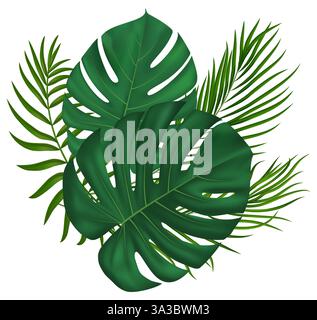Feuilles de palmier luxuriantes d'été. Pour les éco-conceptions, les annonces de voyage, la décoration d'événements, les impressions botaniques, les supports marketing d'été. Illustration vectorielle Illustration de Vecteur