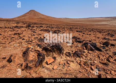 Palmwag Conservacy - paysage stérile en Namibie Banque D'Images
