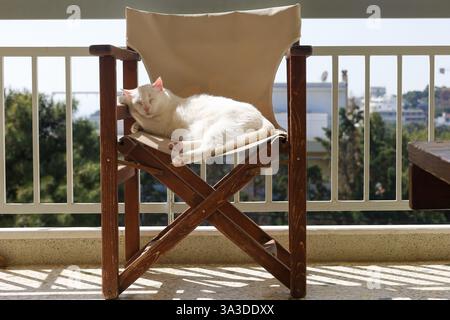 Un chat blanc dort paisiblement sur une chaise en toile beige sur un balcon ensoleillé Banque D'Images