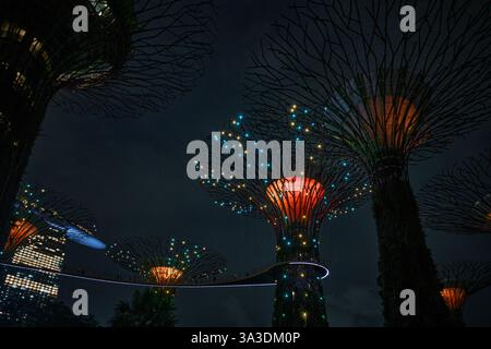 Singapour - 14 août 2024 : spectacle lumineux d'arbres géants au Garden by the Bay la nuit à Singapour. Célèbre monument et populaire pour le tourisme Banque D'Images