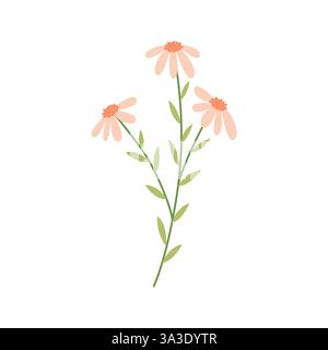 Illustration minimaliste de Marguerite avec des pétales pastel doux et des feuilles vertes. Parfait pour les dessins botaniques, les motifs floraux et les projets écologiques. Illustration de Vecteur