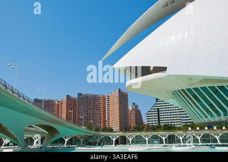 Détails de Cité des Arts et des Sciences, conçu par Santiago Calatrava, ville de Valence, Communauté valencienne, Espagne Banque D'Images