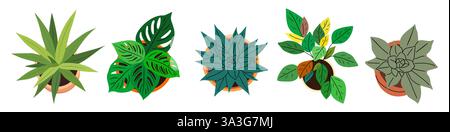 Ensemble de différentes plantes de maison vue de dessus. Illustration de Vecteur