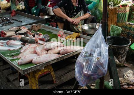 Poisson en vente sur un marché local à Kep, Cambodge Banque D'Images