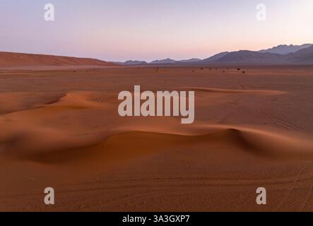 Paysage pittoresque de dunes sans fin contre la chaîne de montagnes éloignée au coucher du soleil, Afrique Banque D'Images