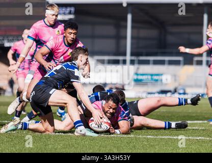 Exeter, Devon, Royaume-Uni. 16 mars 2025. Exeter Chiefs v Bath Rugby semi final premier Cup Sandy Park Exeter Sunday16,March,2025Sandy Park ,Copyright Martin Edwards tous droits réservés. Image protégée par les lois internationales sur les droits d'auteur crédit : Martin Edwards/Alamy Live News Banque D'Images