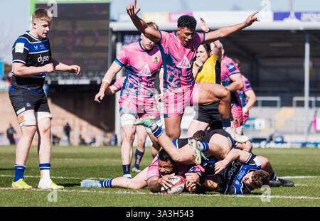 Exeter, Devon, Royaume-Uni. 16 mars 2025. Exeter Chiefs v Bath Rugby semi final premier Cup Sandy Park Exeter Sunday16,March,2025Sandy Park ,Copyright Martin Edwards tous droits réservés. Image protégée par les lois internationales sur les droits d'auteur crédit : Martin Edwards/Alamy Live News Banque D'Images