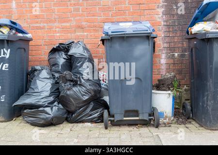 Birmingham, Royaume-Uni. 16 mars 2025. Des poubelles débordantes restent non récupérées dans les rues de Selly Oak à Birmingham alors que les travailleurs des poubelles font grève pour de meilleurs salaires. Crédit : Peter Lopeman/Alamy Live News Banque D'Images