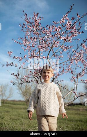 Un garçon est assis sous un amandier en fleurs, cueillant des amandes fraîches et les tenant dans ses mains. Banque D'Images