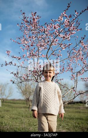 Un garçon est assis sous un amandier en fleurs, cueillant des amandes fraîches et les tenant dans ses mains. Banque D'Images