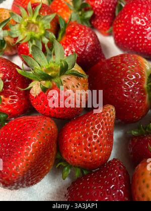 Nature morte des fraises dans un bol blanc Banque D'Images
