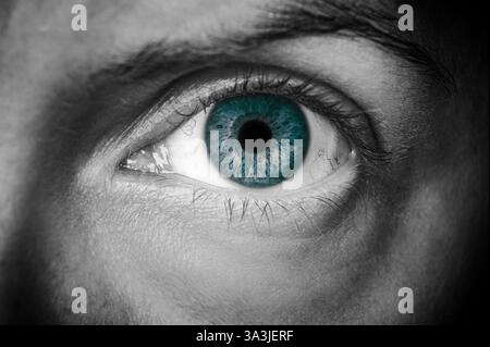 photographie macro noir et blanc œil iris bleu détaillé gros plan en studio Banque D'Images