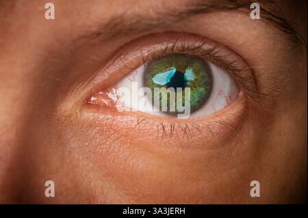 photographie macro œil iris détaillé gros plan en studio photographiez des couleurs naturelles Banque D'Images