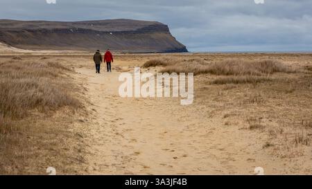 Couple marchant sur une plage dorée de Breidavik parmi les dunes de sable herbeuses avec les falaises Latrabjarg et l'océan en arrière-plan. Banque D'Images