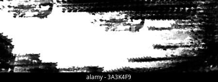 Cette œuvre met en valeur un mélange captivant de techniques abstraites de motion art noir et blanc Banque D'Images