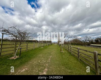 Une ruelle à travers Green Fields sous un ciel bleu mais nuageux Banque D'Images