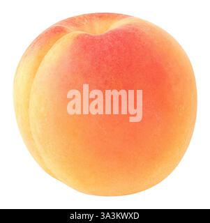 Un abricot isolé sur fond blanc Banque D'Images