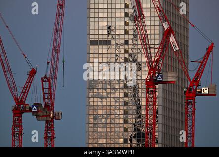 Berlin, Allemagne. 17 mars 2025. Quatre grues se trouvent sur le chantier de construction Alexanderplatz devant la tour de l'hôtel Radisson Park Inn. L'Institut de recherche économique de l'ifo présentera ses prévisions économiques pour le printemps 2025 lors d'une conférence de presse. Crédit : Soeren Stache/dpa/Alamy Live News Banque D'Images
