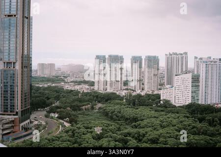 Vue panoramique sur le paysage urbain de Jakarta, avec ses imposants bâtiments et sa végétation luxuriante par temps nuageux. Un paysage panoramique mettant en valeur l'architecture moderne Banque D'Images