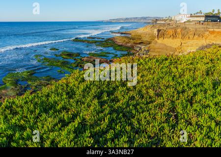 Vue imprenable sur la côte de San Diego avec une végétation verte vibrante, des rivages rocheux et de douces vagues océaniques sous un ciel bleu clair, prise à g Banque D'Images