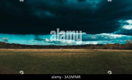 Vue panoramique sur la campagne anglaise Banque D'Images