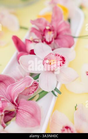 Gros plan d'orchidées roses et blanches disposées sur un plat blanc. Banque D'Images