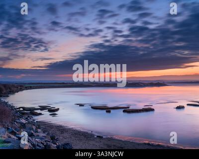 Northam Burrows près d'Appledore dans le nord du Devon - alors que la marée baisse, le marais salé en constante évolution avec ses motifs de sable recouverts d'un vert verdoyant Banque D'Images