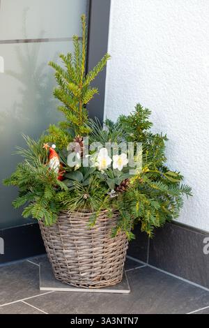 Décoration de Noël dans un panier en osier avec des branches de sapin vert et des fleurs. Banque D'Images
