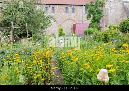 Vielfalt im Klostergarten vom Kloster Drübeck, Ilsenburg, Harz, Saxe-Anhalt, Deutschland *** diversité dans le jardin du monastère de Drübeck Banque D'Images