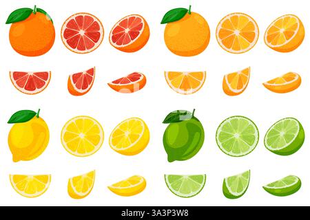 Pamplemousse mûr, orange, citron et citron vert ensemble entier et tranché isolé sur fond blanc. Illustration de dessin animé plat vectoriel. Agrumes fruits tropicaux des Illustration de Vecteur