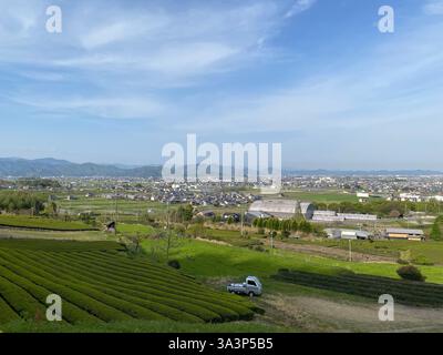 Ce paysage serein capture l'essence paisible de la campagne japonaise, avec des montagnes couvertes de brouillard, des maisons traditionnelles et des terres agricoles luxuriantes Banque D'Images
