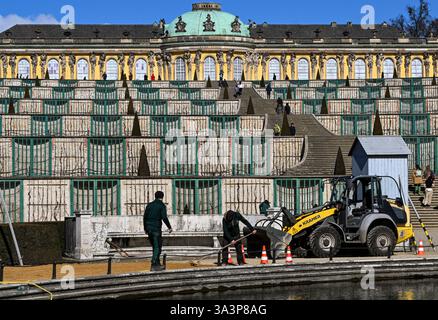 Potsdam, Allemagne. 17 mars 2025. Les ouvriers travaillent au soleil dans le parc Sanssouci devant le grand escalier menant au palais. Le parc est l'un des sites les plus populaires de l'État de Brandebourg. Crédit : Jens Kalaene/dpa/Alamy Live News Banque D'Images