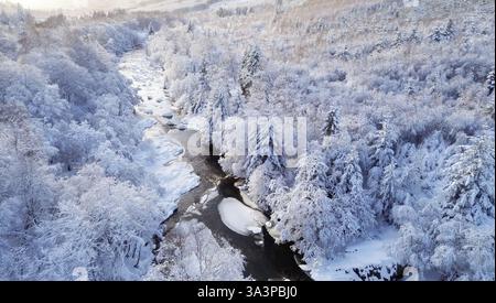 Vue sur l'eau noire de la rivière qui coule entre la forêt un jour d'hiver Banque D'Images