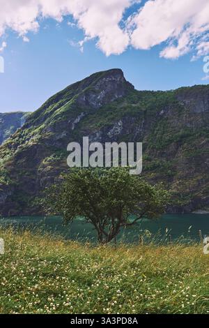 Images d'Otternes 'klyngetun', le village norvégien traditionnel, près du fjord de Sognefjorden, Norvège. Banque D'Images