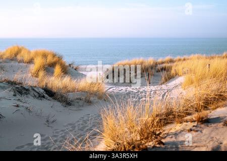 Sentier de sable à travers Golden Dunes menant à une plage paisible au bord de la mer Banque D'Images