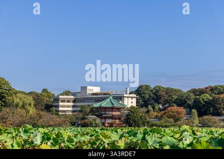 Temple Benten-do avec un toit vert se dresse parmi les plantes de lotus à Shinobazu Pond dans le parc Ueno à Tokyo avec des arbres et des bâtiments modernes en arrière-plan Banque D'Images