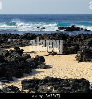 Une bicyclette solitaire appuyée contre des roches volcaniques au bord de la mer, Fuerteventura, îles Canaries, Espagne, Europe, UE Banque D'Images