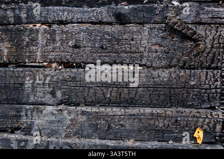 Fond de planches de bois carbonisées brûlées. Banque D'Images