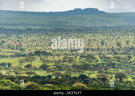 Paysage du parc national de Tarangire, Tanzanie Banque D'Images