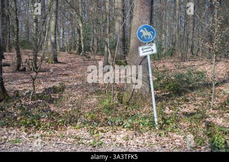 Un panneau bleu avec un cheval et un cavalier dessus. Un tronc d'arbre avec des feuilles et des plantes Banque D'Images