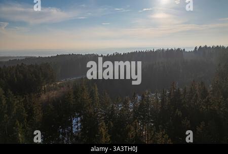 vue aérienne d'une forêt dense à feuilles persistantes avec atmosphère brumeuse, lumière douce du soleil, et des taches de neige sur le sol Banque D'Images