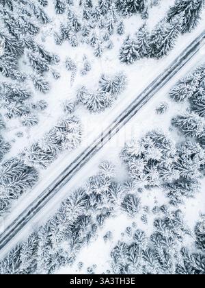 vue aérienne de dessus d'une forêt enneigée avec une route traversant, entourée d'arbres à feuilles persistantes couverts de gel Banque D'Images