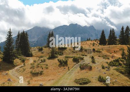 Vue sur le parc national de Durmitor avec des sapins et des collines en face et la chaîne de montagnes en arrière-plan Banque D'Images