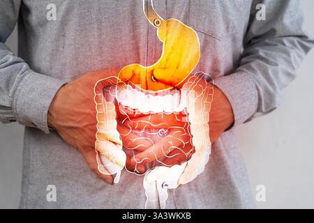 Un estomac humain médical avec inflammation due à un ulcère gastro-duodénal. Image recadrée d'un homme souffrant de douleurs à l'estomac. Femme âgée asiatique ayant mal à l'estomac sur est Banque D'Images