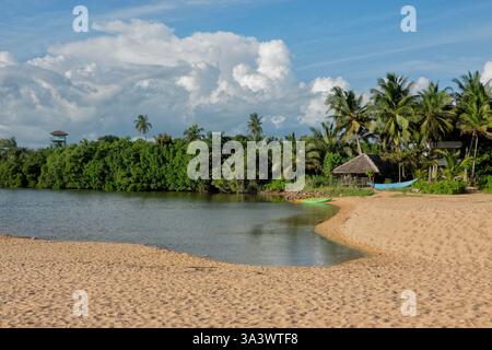 Plage vide de Marakolliya, Tangalle, Sri Lanka Banque D'Images