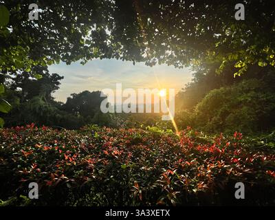 Mount Faber Park Harbour Front Banque D'Images