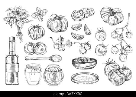 Illustration vectorielle de tomates rouges mûres, feuilles de basilic, bouteilles en verre, assiettes en bois. Agriculture biologique ingrédients frais sains. Dessiner à la main Illustration de Vecteur