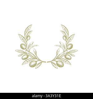 Branche d'olivier, couronne rustique. Fruit de texture de vecteur, feuillage vert sur fond blanc. Symbole rond de la nature, illustration dessinée à la main. Patt vintage grec Illustration de Vecteur