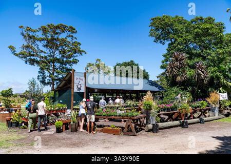Marché familial Outeniqua avec art, artisanat et nourriture à George dans le Cap occidental, Afrique du Sud Banque D'Images
